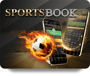 Strategies for Successful Betting with VF555 Bet Online Tools